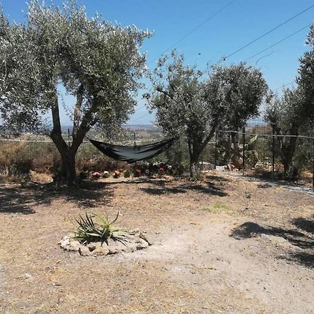 Villa Emma Con Panorama Etna A 10 Minuti Dal Mare Lentini Dış mekan fotoğraf