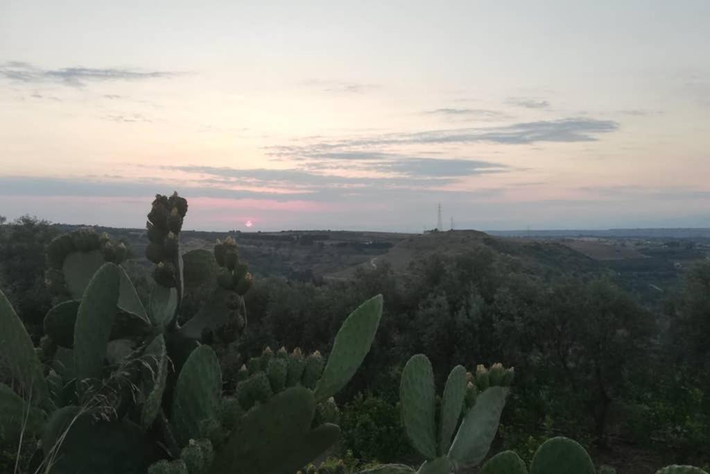 Villa Emma Con Panorama Etna A 10 Minuti Dal Mare Lentini Dış mekan fotoğraf