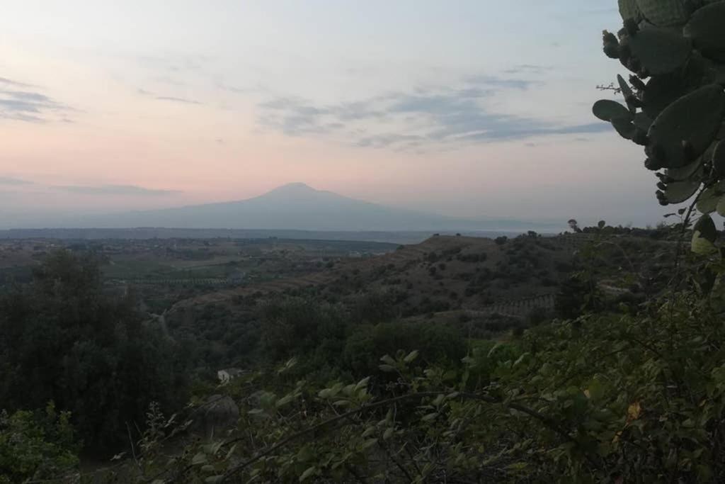 Villa Emma Con Panorama Etna A 10 Minuti Dal Mare Lentini Dış mekan fotoğraf